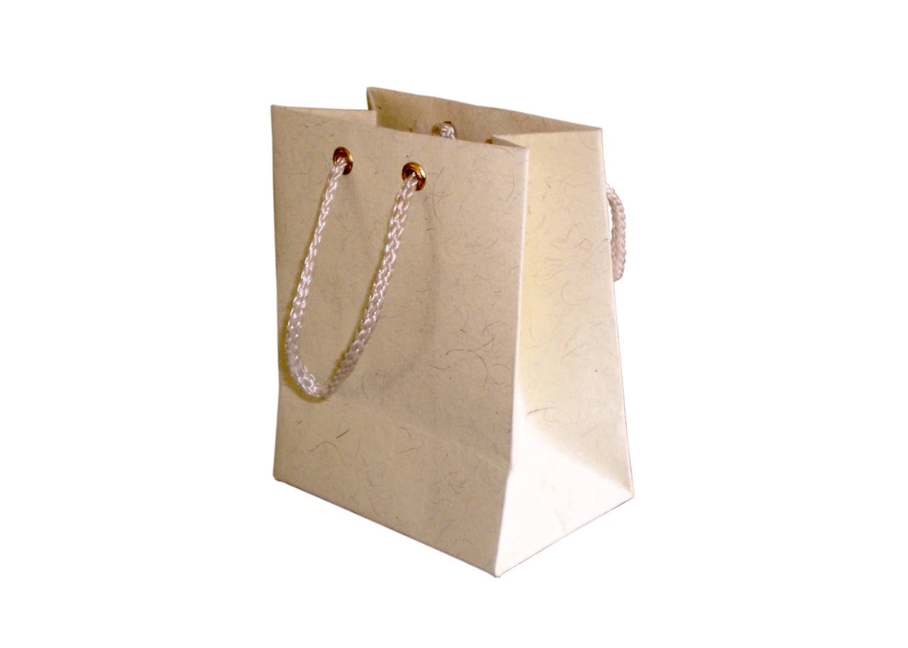 Premium Kraft Paper Bag with Rope Handles